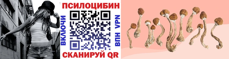 как найти наркотики  Мегион  ОМГ ОМГ зеркало  Псилоцибиновые грибы MAGIC MUSHROOMS 